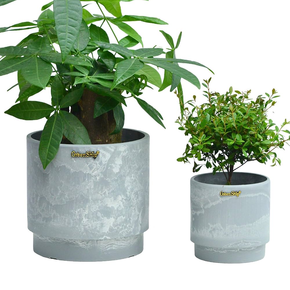 Amazon.co.jp: Greenship 植木鉢 3号・5号2点 植木鉢カバー 石